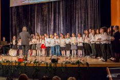 IMG_6919