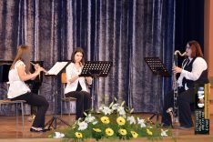 PAL-17511-218-N. Novotni,L. Kožar,M. Majstorović