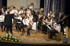 PAL-17511-228-Puhački orkestar srednje GŠ