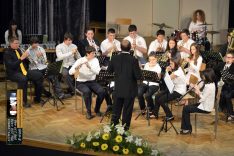 PAL-17511-229-Puhački orkestar srednje GŠ