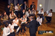 PAL-17511-245-Puhački orkestar srednje GŠ