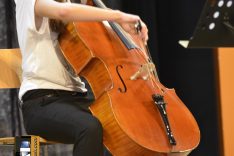 PAL-18511-262-Jelena Vedriš, violoncello III. O