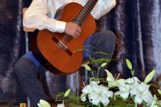 PAL-18511-264-Matej Jurić, gitara V. O