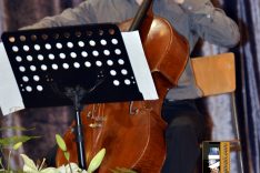 PAL-18511-289-Emanuel Pavon,violoncello I. S