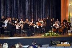 PAL-15511-024-Zbor uz gudački orkestar