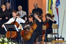 PAL-15511-025-Zbor uz gudački orkestar