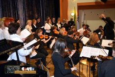PAL-15511-028-Zbor uz gudački orkestar