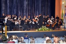 PAL-15511-031-Zbor uz gudački orkestar