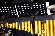 PAL-220111-291