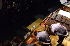 PAL-220111-312